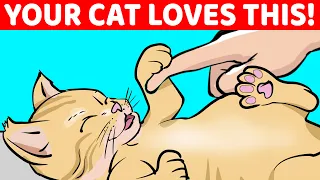 12 Things Your Cat Loves About You