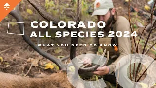 Hunting in Colorado Explained | Everything You Need to Know