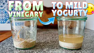 How to Make Your Sourdough Starter taste like Mild Yoghurt