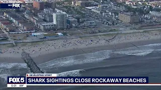 Shark sightings close Rockaway beaches