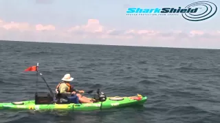 Jim Sammons does a True Test of the Shark Shield!