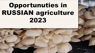 OPPORTUNITIES in RUSSIAN agriculture 2023