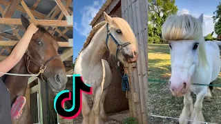 The Best HORSE TikTok Compilation 2022 #7