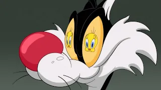 Looney Tunes  -  Sylvester Eats Tweety Bird | Cartoon Network Show