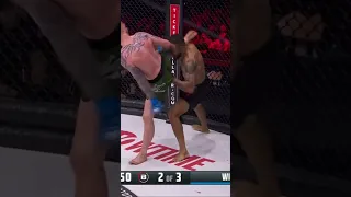 Spinning heel kick! Tim Wilde shows off his skills in his Bellator MMA win in Paris 🔥🔥 #mma