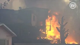 En Chile, 2000 damnificados por incendio forestal