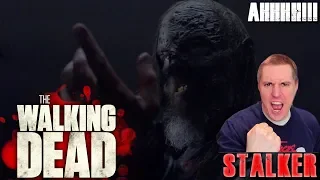 The Walking Dead Season 10 Episode 10 - Stalker - Video Review!