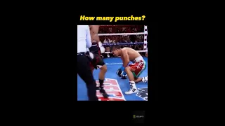 24 Punch Combination by Mark Magsayo