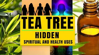 Tea Tree: Hidden Spiritual and Health Uses | Yeyeo Botanica