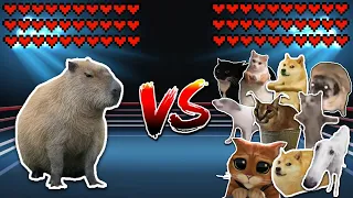 Giant Capybara vs All Cats and Dogs! Meme battle