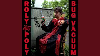 Roly Poly Bug Vacuum