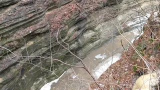 Starved Rock State Park - French Canyon