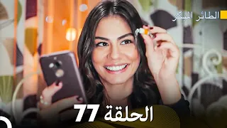 مسلسل الطائر المبكر الحلقة 77 (Arabic Dubbed)