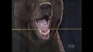 Kobayashi vs Giant Bear