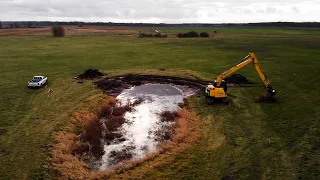 Ein neues Zuhause für Amphibien und Libellen