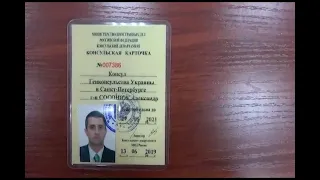 Задержание украинского консула Александра Сосонюка