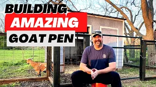 Building Awesome Backyard Goat Pen | Introducing Nigerian Dwarf Goats