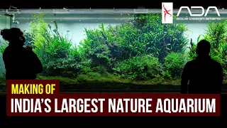 India's Largest | Private Nature Aquarium | What goes into building it | Signature Series by Adip