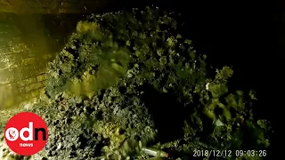 Monster Fatberg: Scientists Reveal What Was in It