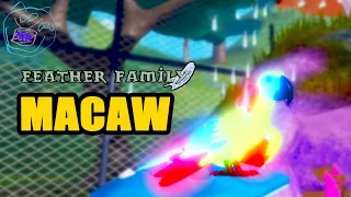 играю Попугаем в семье птиц | feather family macaw | Multikplayer