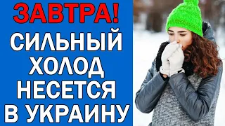 ПОГОДА НА 4 НОЯБРЯ : ПОГОДА НА ЗАВТРА