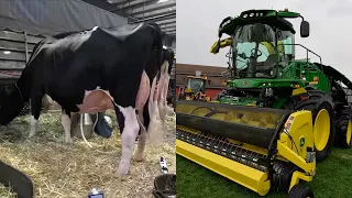 World Dairy Expo 2023!