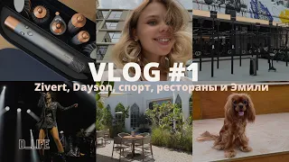 VLOG #1: концерт Zivert, Dyson, рестораны и места в Дубае и многое другое