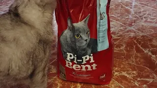 Pi Pi Bent Классик тестируем кошачий наполнитель