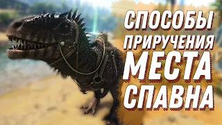 НОВЫЙ ДИНО в ARKКАК ПРИРУЧИТЬ КАРХАРОДОНТОЗАВРА? И МЕСТА СПАВНА (ARK: Survival Evolved)