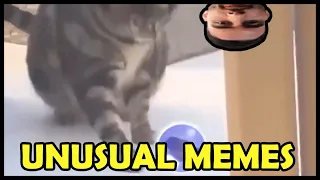 NymN reacts to "UNUSUAL MEMES COMPILATION V84"