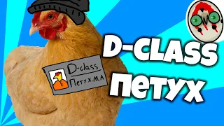 D-CLASS ПЕТУХ - SCP SECRET LABORATORY / СМЕШНЫЕ МОМЕНТЫ 48