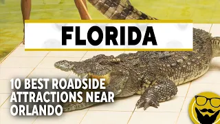 10 Best Roadside Attractions Near Orlando | Florida Roadside Attractions