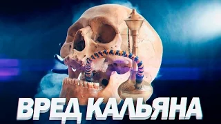 ВРЕД КАЛЬЯНА | Кальян и Сигареты Вред От Курения