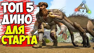 ТОП 5 ДИНО ДЛЯ НОВИЧКОВ в ARK Survival Evolved! ЛУЧШАЯ ЖИВКА ДЛЯ СТАРТА В АРК!