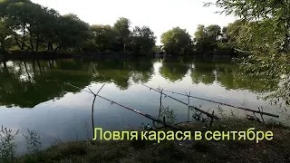 Осень.Ловля карася.Ловля в сентябре  на опарыш. Смотреть до конца!