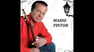 Adiós, Que Te Vaya Bien - Mario Pintor