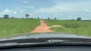 Fazenda da Região de Barra do Garças - MT