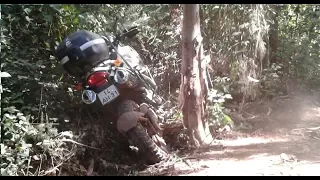 BMW GS crashes into a tree (onboard view)
