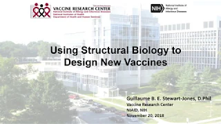 11-20-2018 Webinar- Using Structural Biology to Design New Vaccines