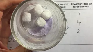 Sugar Shake