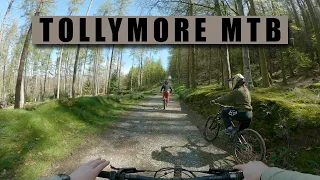 Tollymore natural MTB trails on the Marin Alpine Trail E2