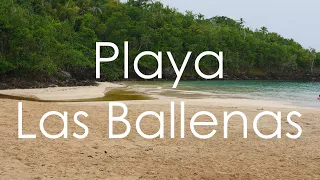 Playa las Ballenas, las Terrenas, Republica Dominicana - 4K UHD - Virtual Trip