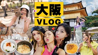 和我們一起到大阪過夏天🎐看藝妓表演 🪭 夏季限定川床料理 🤩 超涼快！到忍者博物館做忍者 🥷 扭蛋扭到懷疑人生 🫠｜ MAYHO 【 美好的一天 】