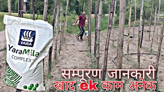 Yara Mila complex | N P K 12 11 18 | NPK Fertilizer | Praveen Thakur