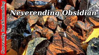 Rockhounding Glass Butte for Obsidian