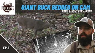 Hang & Hunt for Big Bedded Buck - 2021 Ohio Archery Season