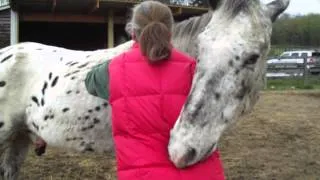 Blind horse says thank you for his neck rubs!