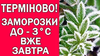 В УКРАЇНУ ІДУТЬ ЗАМОРОЗКИ : СИНОПТИКИ УТОЧНИЛИ ДЕ САМЕ