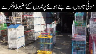 Exotic & Small Birds All Varities Cages || Different Size Birds Cages Shop in Lalukhet Birds Market