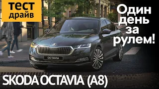 Дорожный тест SKODA OCTAVIA A8 2020 российской сборки